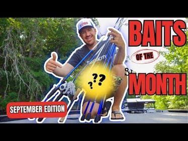 TOP BAITS of the MONTH | September 2024 Edition
