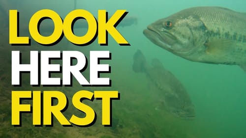 The #1 Factor For Spring Bass Fishing | Locating Spring Bass