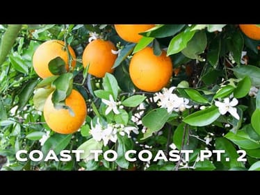 COAST TO COAST PT. 2 (TEASER)