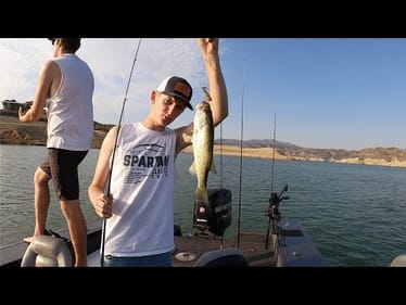 Quick Afternoon at Castaic (Caught too many dinks)