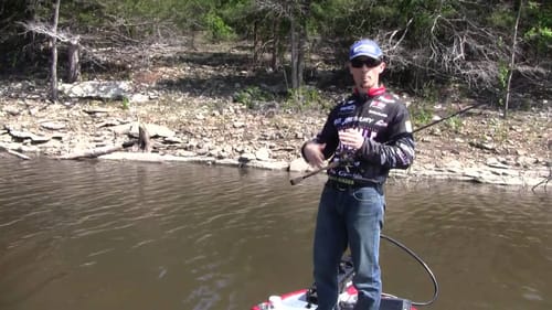 Tips on Speed when Searching for Fish