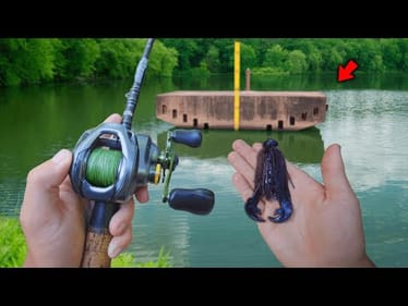 Fishing For MONSTER BASS With BIG Jigs! (Bank Fishing)