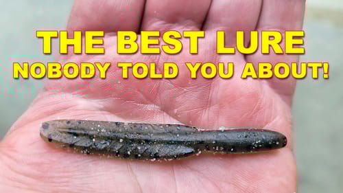 How To Fish A Reaper | How To | Fishing