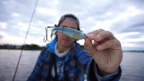 Saltwater Whopper Plopper
