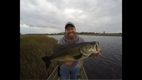 Bass Fishing - Swim Baits and Frogs