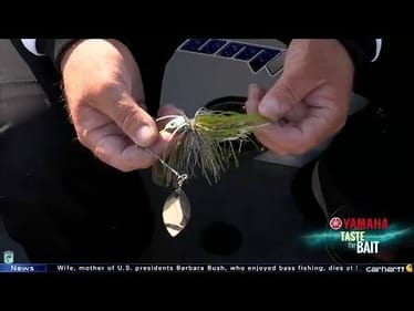 Taste the Bait: Roy Hawk's spinnerbait at Grand Lake