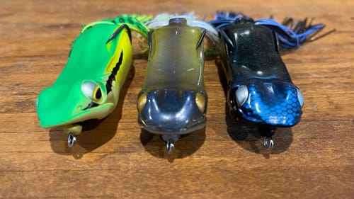 Fall Frog Fishing…THESE Dang Pros Keep It A Secret…