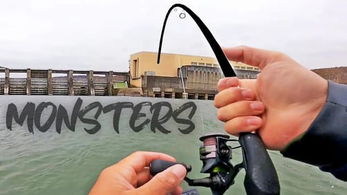 Catch MONSTER FISH Below The DAM! (INSANE)