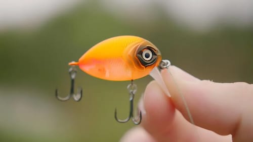 TINY Wake Bait = Biggest Bass of the YEAR!!!