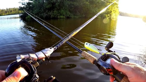 TOPWATER POPPER FISHING for GIANTS!!