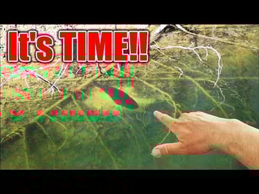 You'll NEVER Bed Fish the Same after Hearing this...