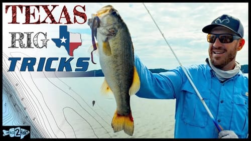 5 Tips to Catch More Bass Using Texas-Rigged Worms