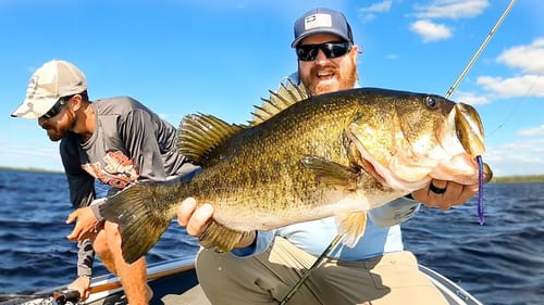 Shaky Head Worms For BIG Bass!! Post Spawn Bass Fishing Madness!