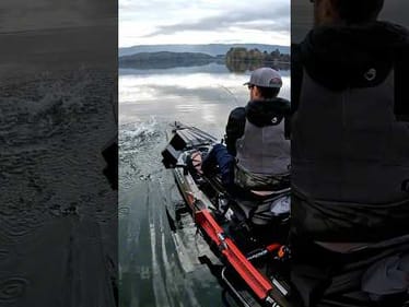 Love those boat-side smackdowns 🔥