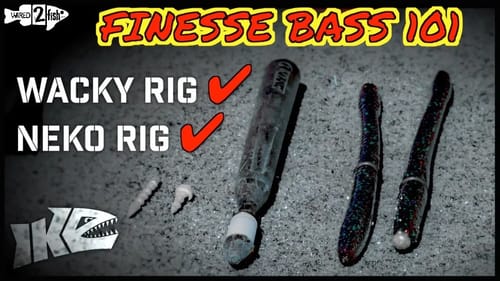 Wacky and Neko Rigging Bass 101 [When and Where]