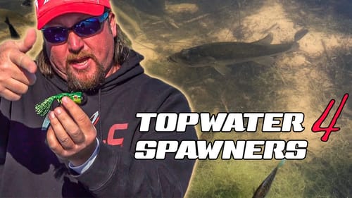 Single BEST Tip | How to Fish Topwater For Bass
