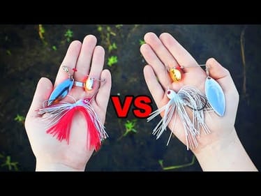 CHEAP vs EXPENSIVE Spinnerbait Challenge (Budget Fishing!)