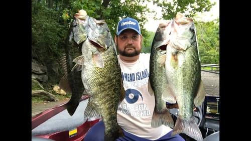 Deep Suspended Bass On a Topwater