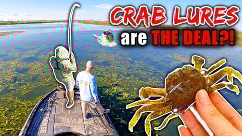 Trophy Bass LOVE......Crab Lures??? (Deadly Effective for Pressured Fish!)