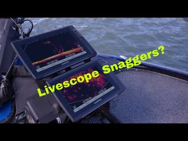 Are Pros Using Livescope To Snag Bass Illegally?