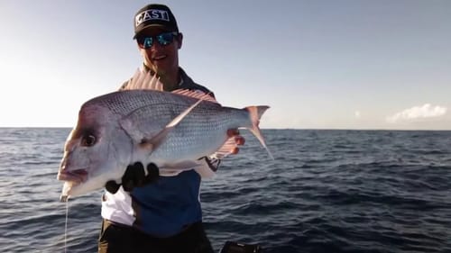 SIMRAD NSSEvo2 - Snapper Fishing with Cast Magazine