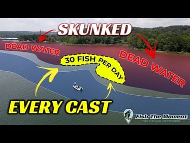 These Summer Ledge Bass are Dumb and Ready to Eat! | SideScan, DownScan. 2D Sonar Instruction