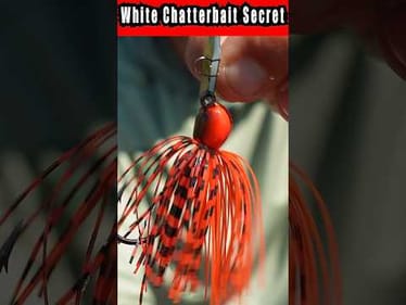 The #1 ChatterBait Secret for Fall Bass Fishing