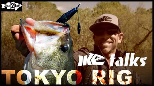 The Tokyo Rig for Bass | Ike Talks Uses