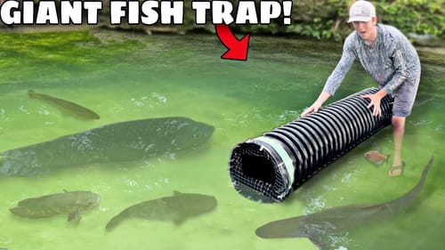 TRAPPING GIANT PIRANHAS in My POND!