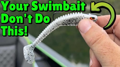 The Most Incognito Finesse Swimbait Head