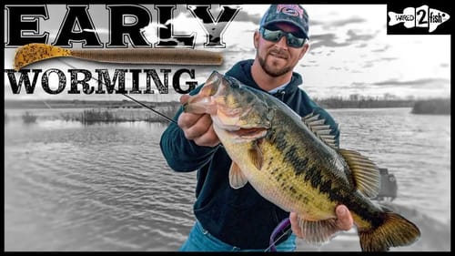 Bass Fishing Worm Tips for Early Prespawn Grass