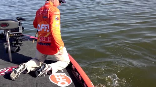 How to Fish Lipless Baits in the Fall