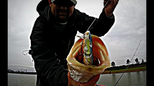 Spro BBZ-1 Rat Bass Fishing