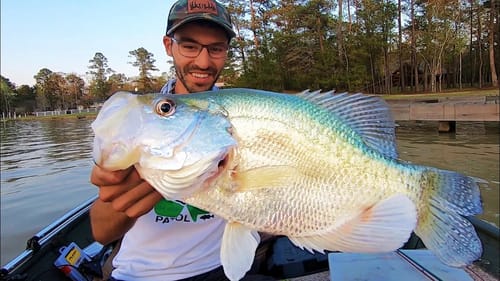 The BIGGEST CRAPPIE in the LAKE!!!