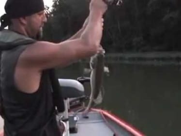 3 lb Bass on Strike King Rage Toad