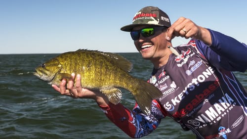 Handy Small Swimbait Tricks for Bass Fishing