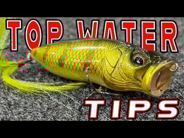 Try These Topwater Tricks And Mods For Summer Bass!