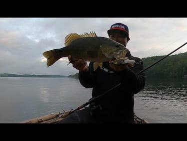 Epic Smallmouth Evening Session on 2025's Hottest Topwater