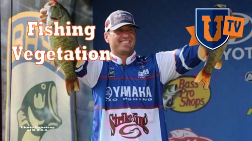 Fishing Vegetation: Summer & Fall with Todd Faircloth