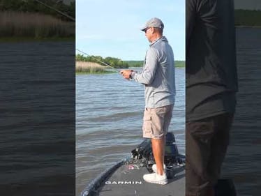 Trying to Find Fish? Move and Cover Water!