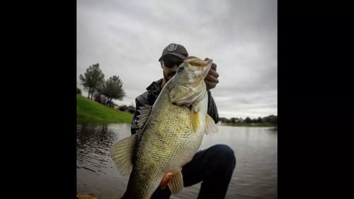 BASS FISHING IN THE STORM! 8 LB BASS