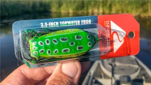 $2 Walmart Frog - Does It Catch Fish?