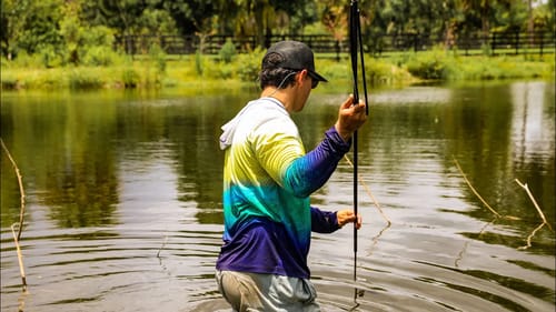 Catch and Cook Spearing and Eating One of the Most Eaten Fish in the World