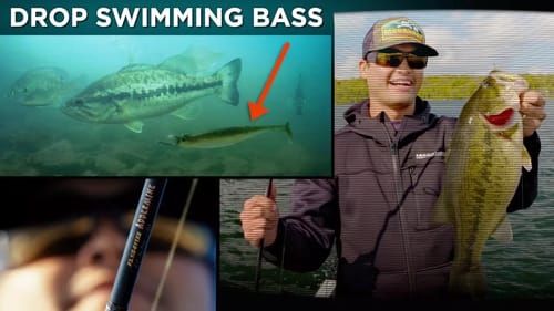 Why You Need to Drop Shot Swimbaits for Bass (DROP SWIMMING)