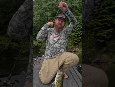 🔥 This Bait Just Created A New Lure Category! 🔥