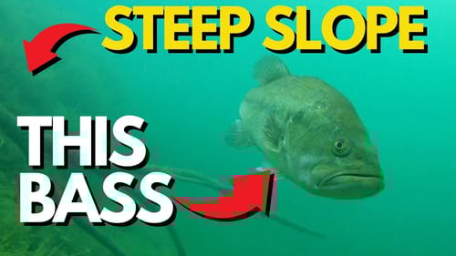 Easiest Way to Fix This Common Problem | Bass Fishing Tips