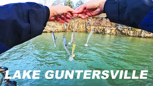 COLD Weather Bass Fishing with HIGH SCHOOL Anglers! (Lake Guntersville)
