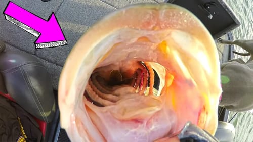 THEY HATE ME!!! WHEN I CATCH FISH BEHIND THEM!!!