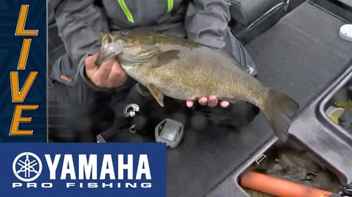 Yamaha Clip of the Day: Alex Redwine lands 5 pound Smallmouth at Champlain