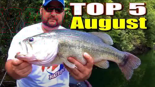 Go BIG, Go Finesse, or Stay Home For The August Top 5
